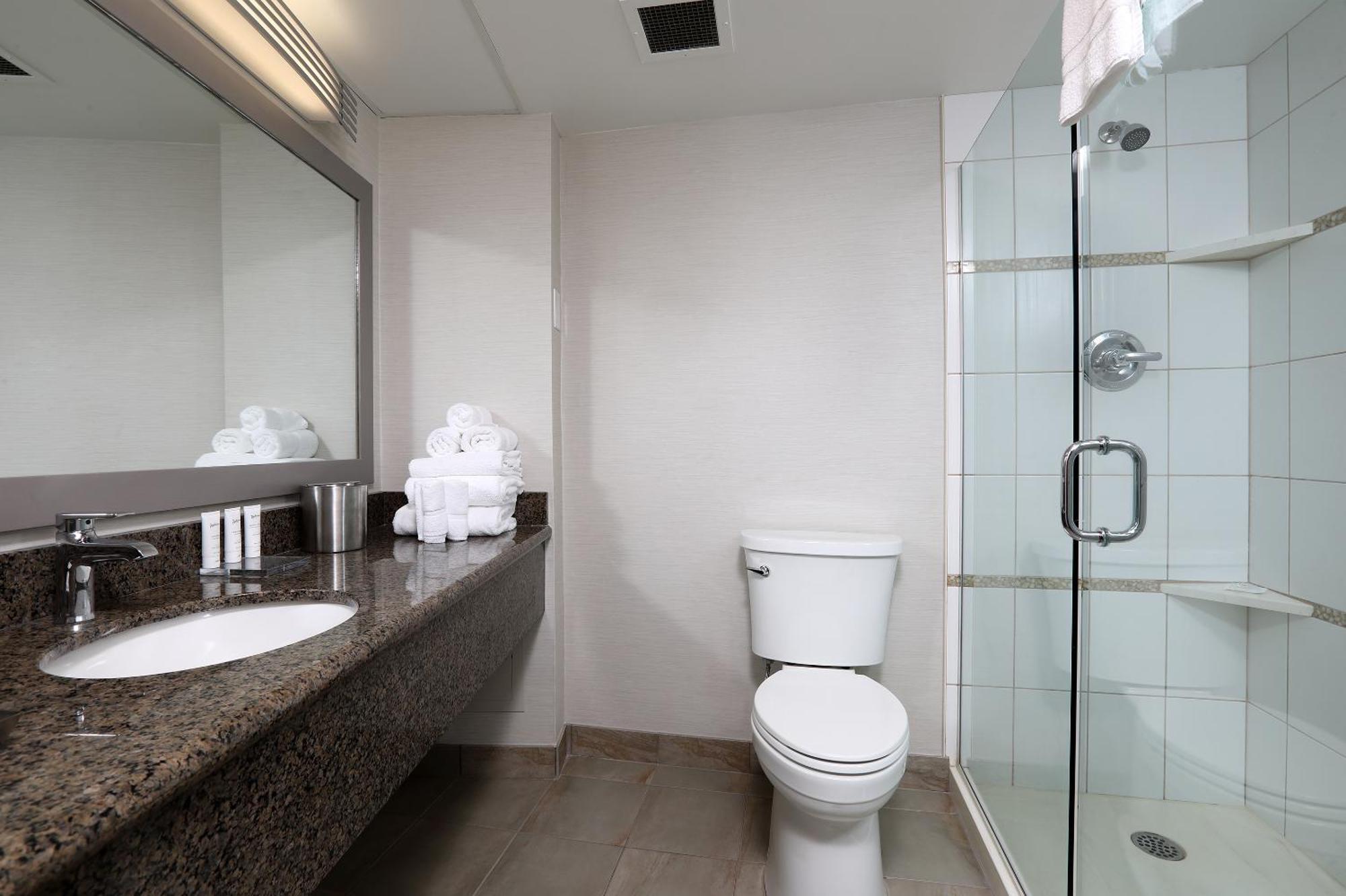 Radisson Downtown 4*