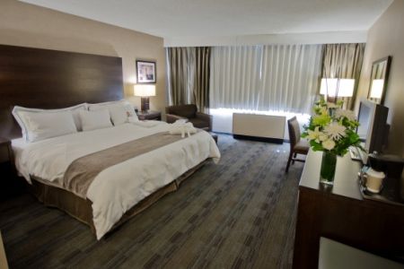 Hotel Radisson Downtown 4*